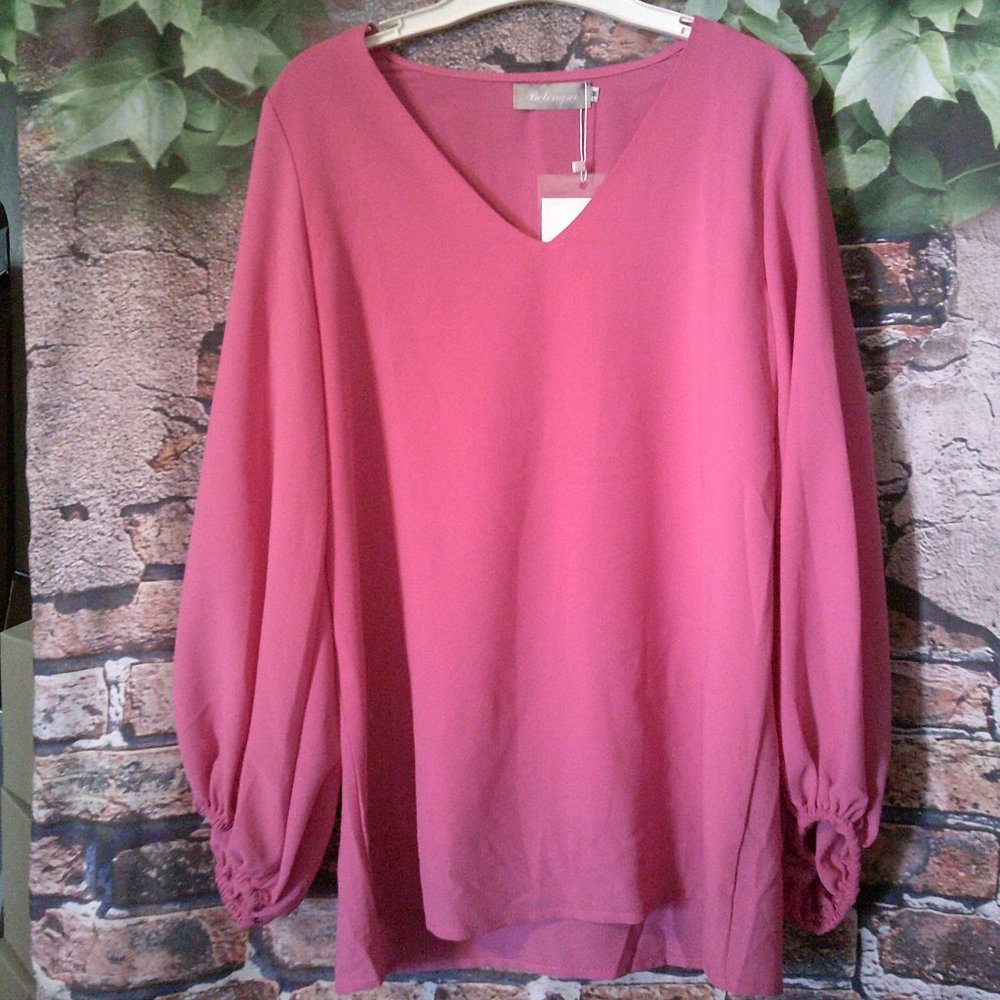 Pink Long Sleeve V Neck Lined Blouse
